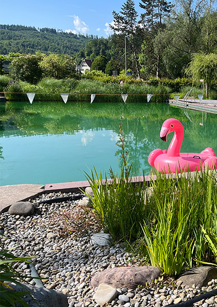 Web-Gallery 424 x 600 px_0002_image00014