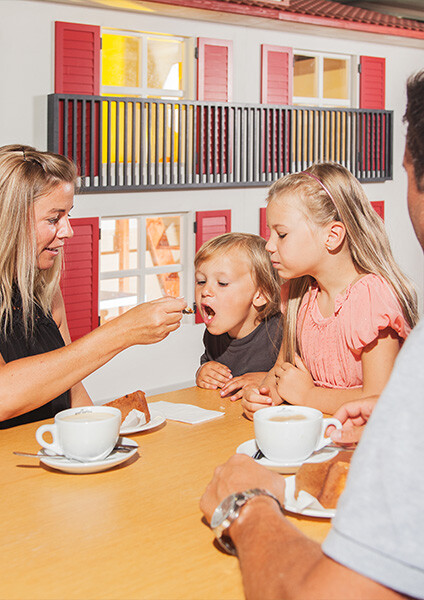 Web-Gallery 424 x 600 px_PapaMollSpielecke2