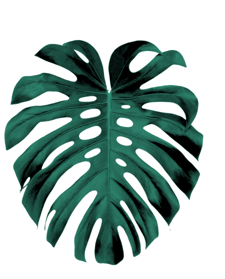 Palme_Graustufen_Gruen_web