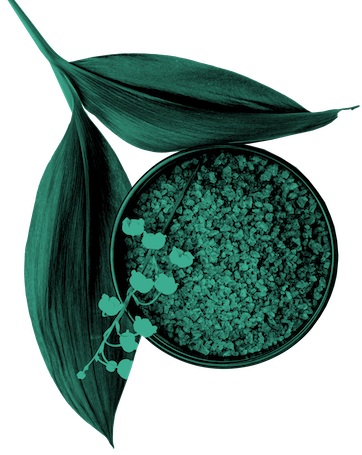 Schale_Graustufen_Gruen_web