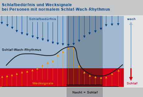 Schlaf Wach Rhythm Web.9.6.10 Schlaf Wach Rhythm Web.9.6.10