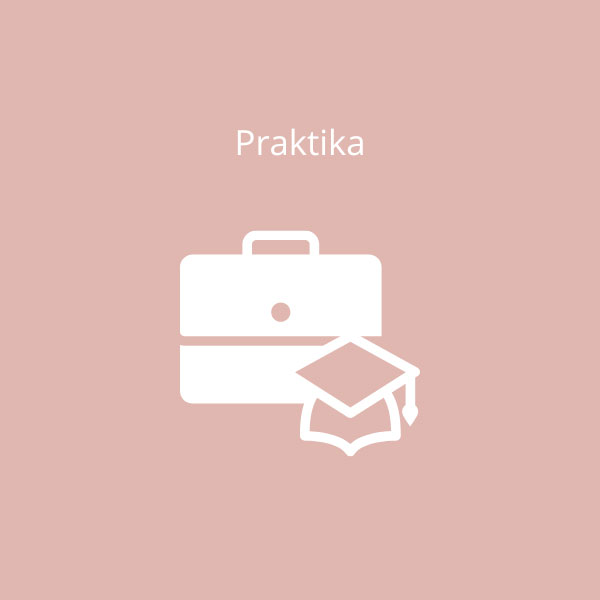 Praktika