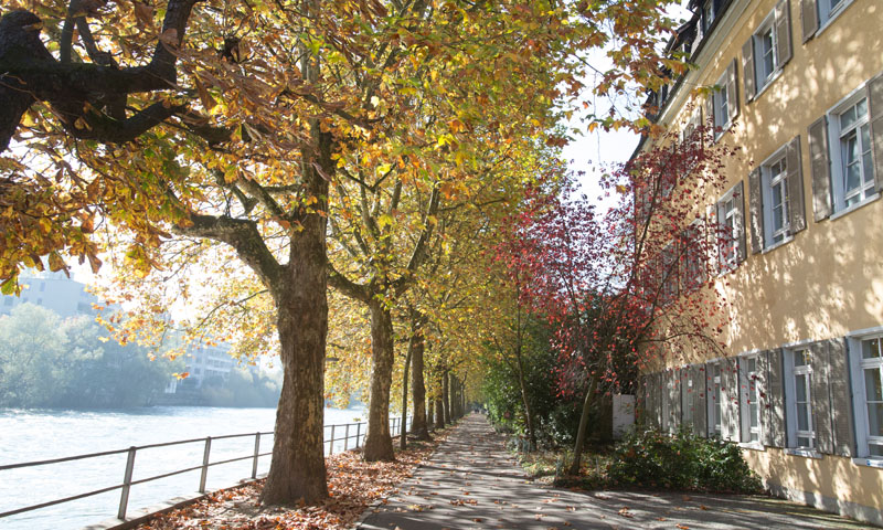 ZURZACH Care - Rehaklinik Baden (Freihof)