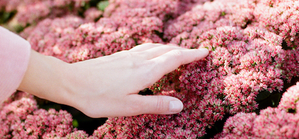 FORTYSEVEN_Frauentag_RGB_RZ_430x200px